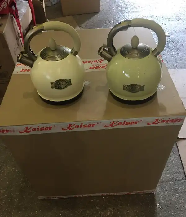 Електрочайник Kaiser WK 2000 ElfEm (матовий)
