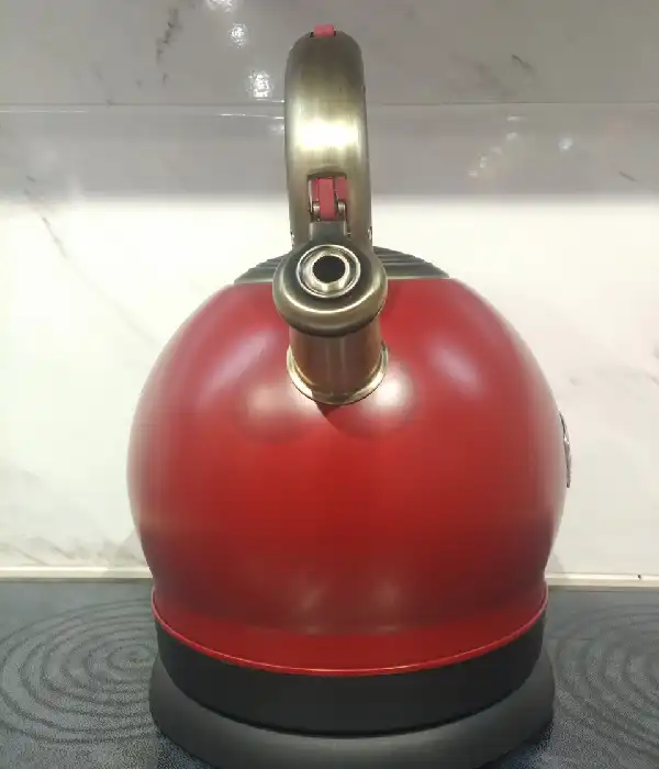 Електрочайник Kaiser WK 2000 RotEm