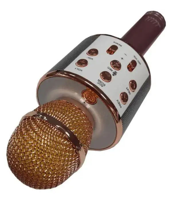СТОК Дитячий Bluetooth караоке-мікрофон