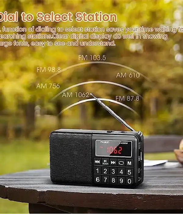 СТОК Портативне радіо PRUNUS J-429 AM FM