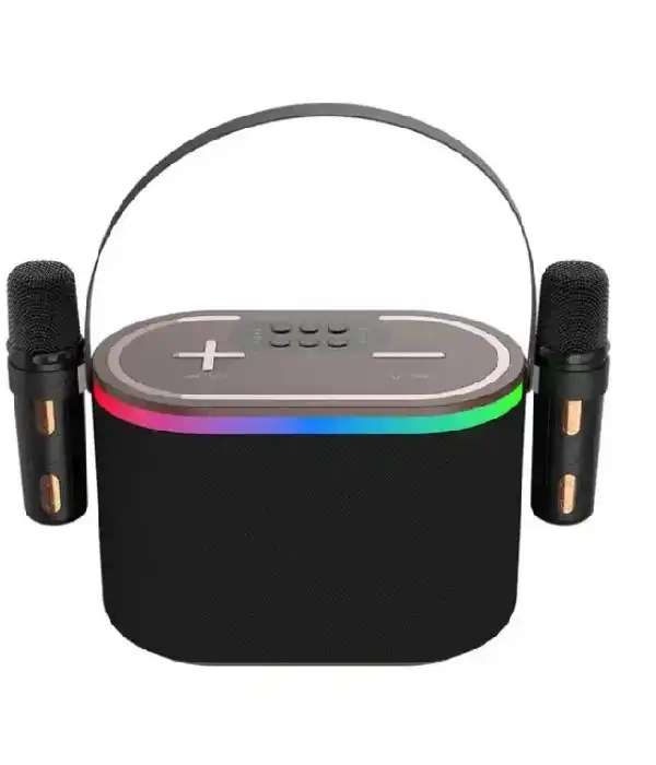 Сімейна портативна bluetooth караоке система SDRD QM2 із двома бездрот